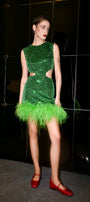 Disco Dress
